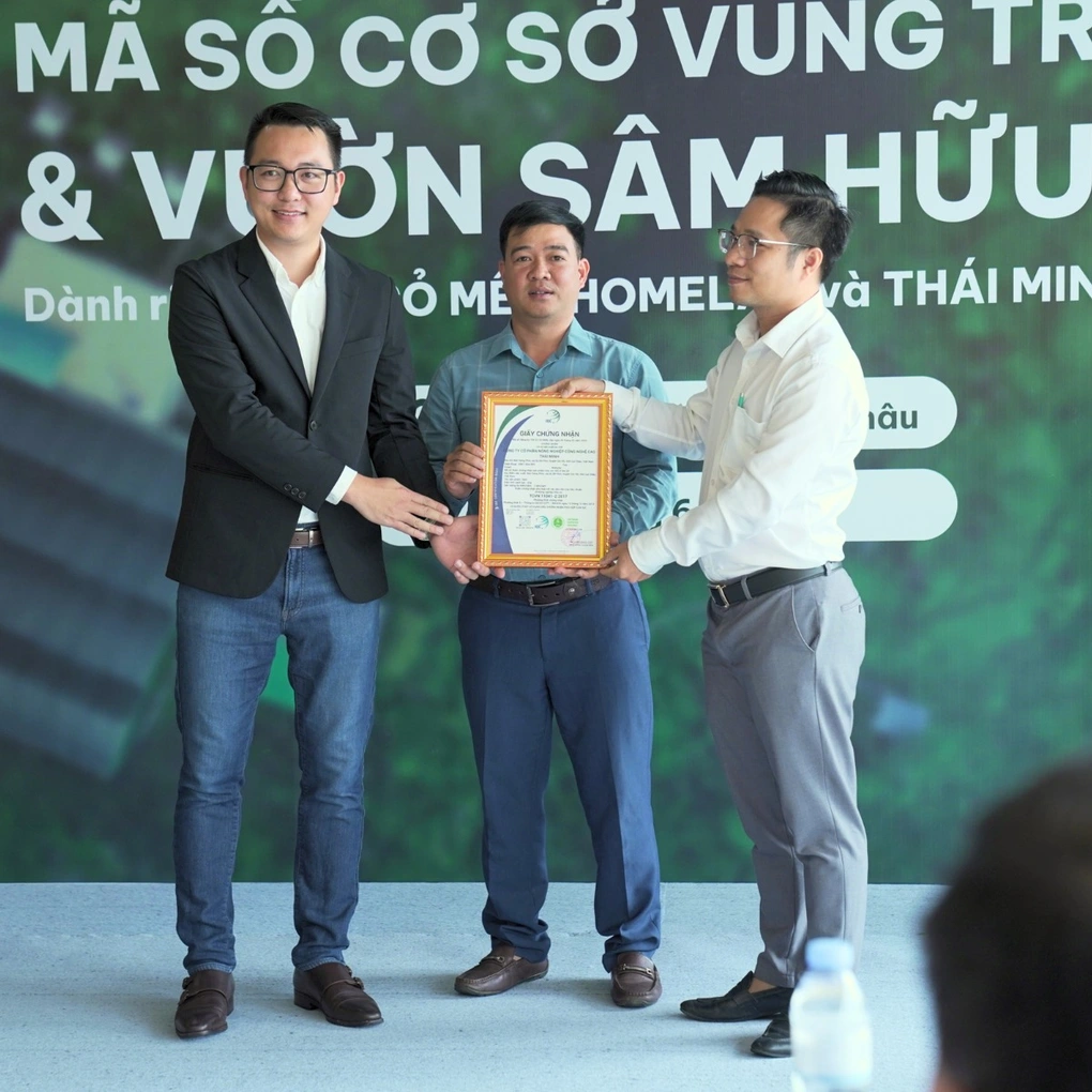 Vườn Sâm Lai Châu của Thái Minh trở thành đơn vị đầu tiên được cấp chứng nhận đạt tiêu chuẩn hữu cơ